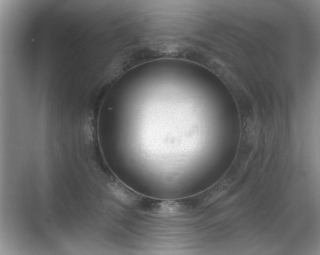 X0000068810612200605081121