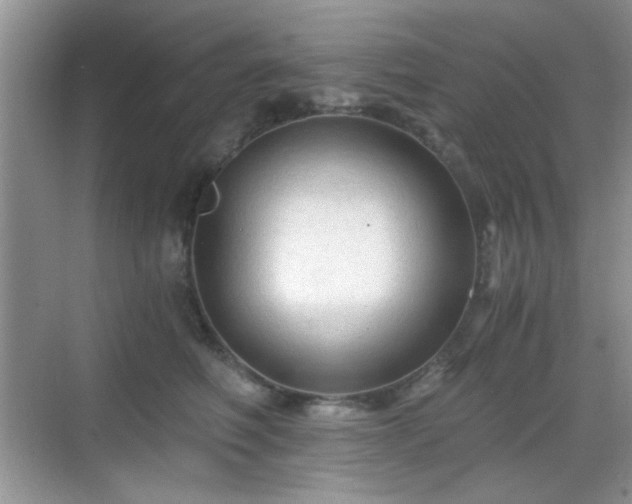 X0000068810614200605081121