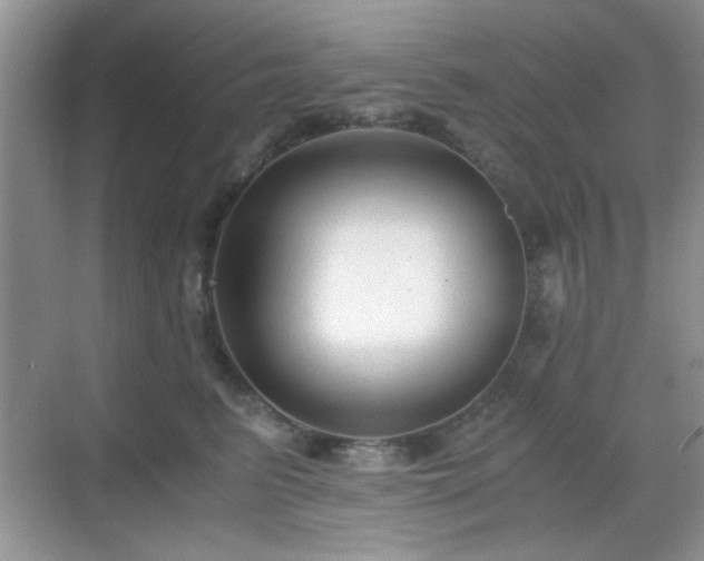 X0000068810615200605081121