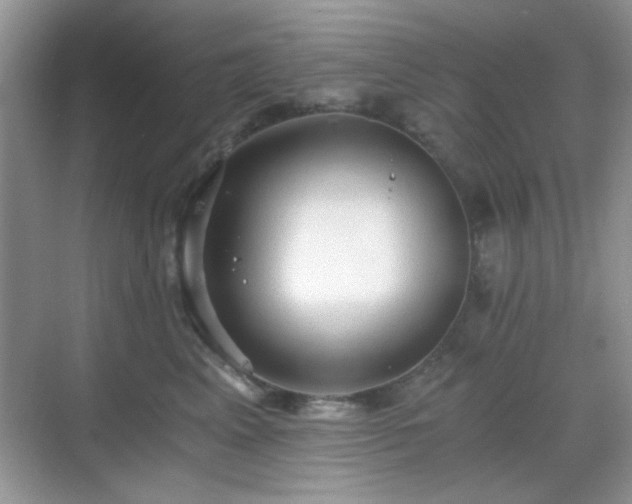 X0000068810617200605081121