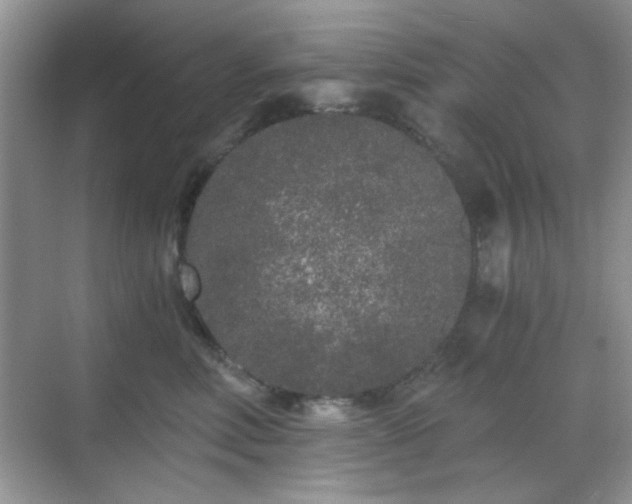 X0000068810618200605081121