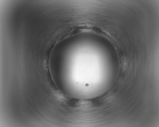 X0000068810619200605081121