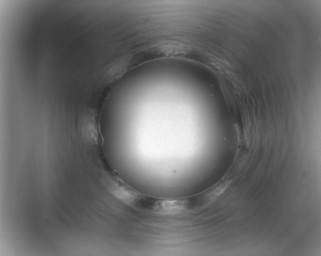 X0000068810622200605081121