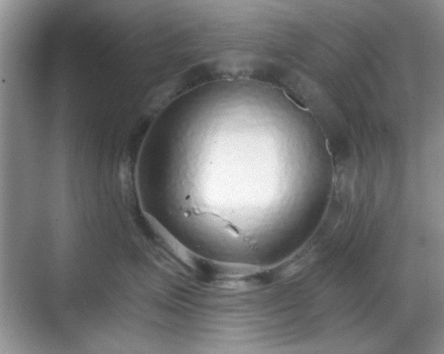 X0000068810623200605081121