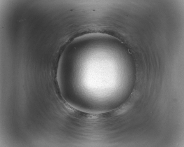 X0000068810624200605081121