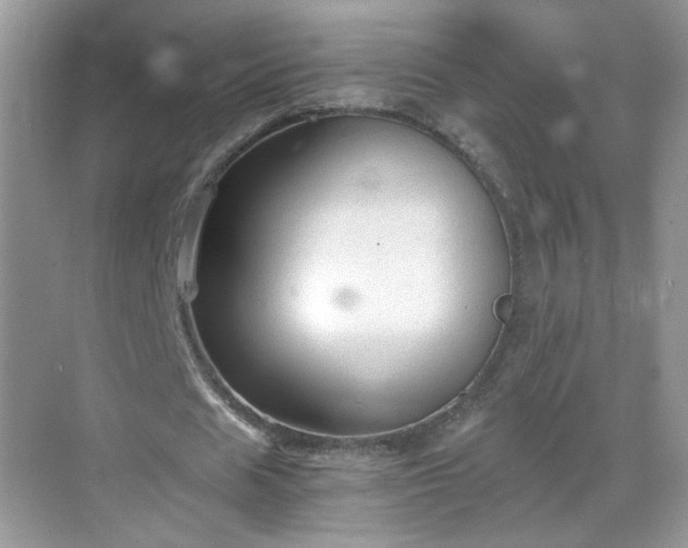 X0000068810625200605081120