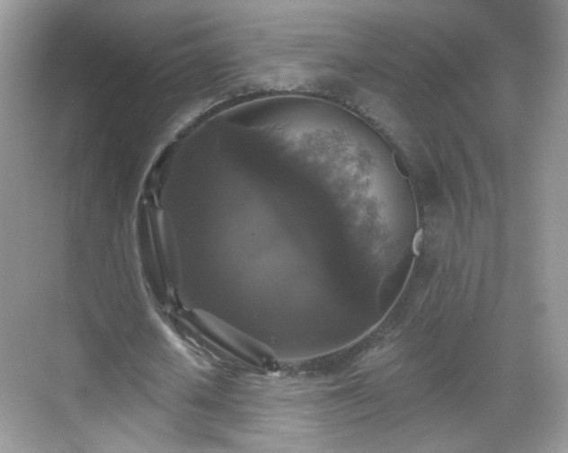 X0000068810626200605081120