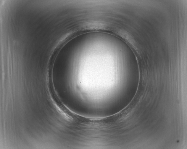 X0000068810629200605081120