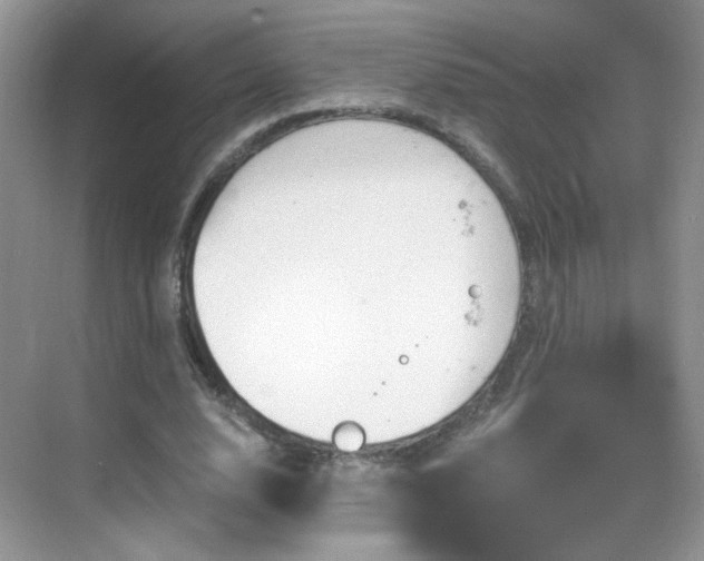 X0000068810632200605081120