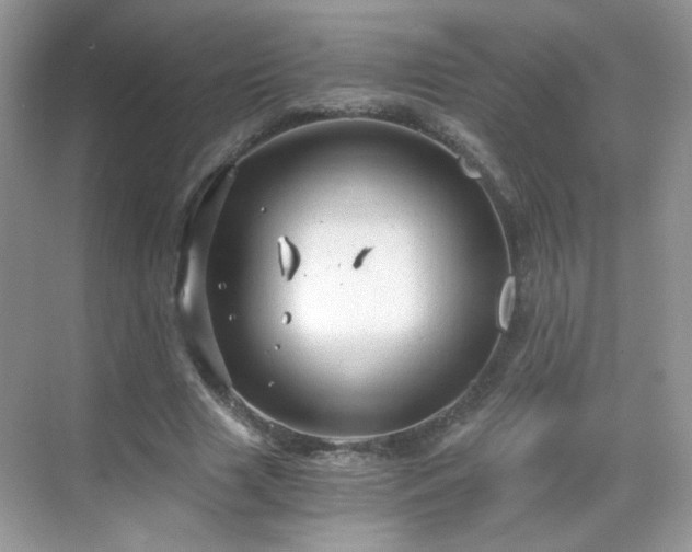 X0000068810633200605081120