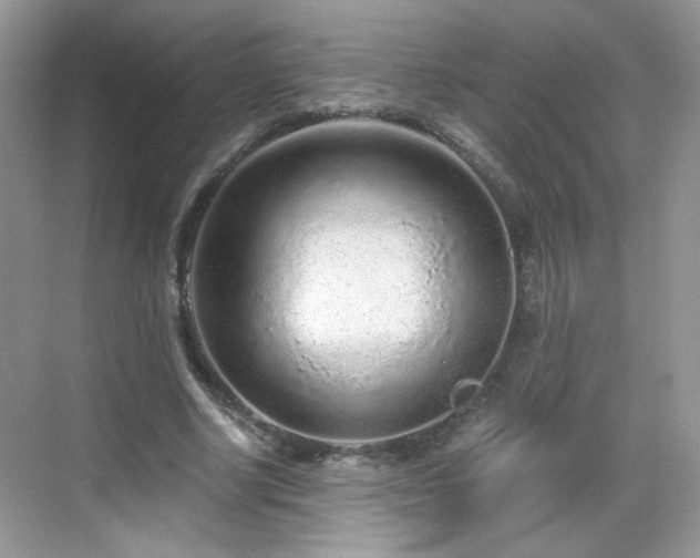 X0000068810634200605081120