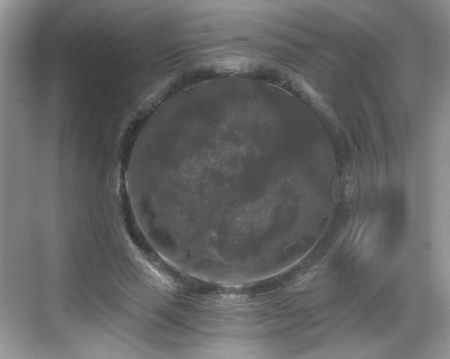 X0000068810637200605081120