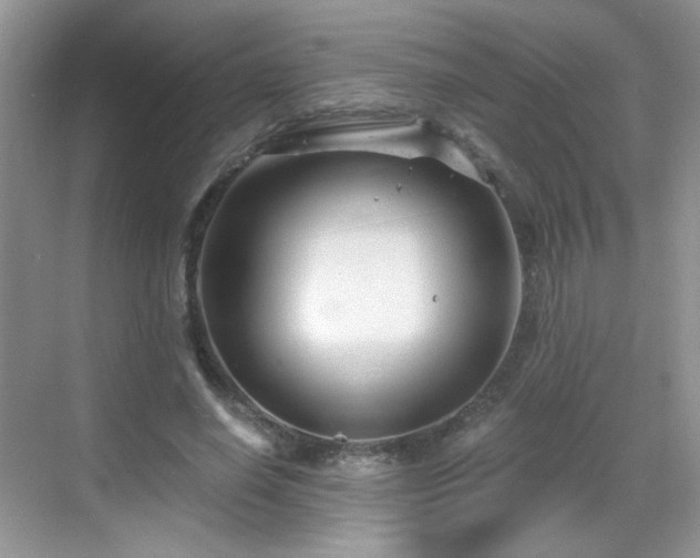 X0000068810638200605081120