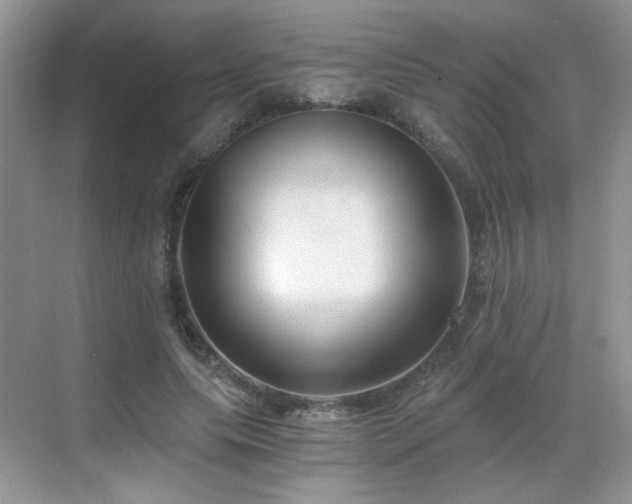 X0000068810639200605081120