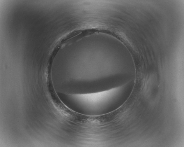 X0000068810640200605081120