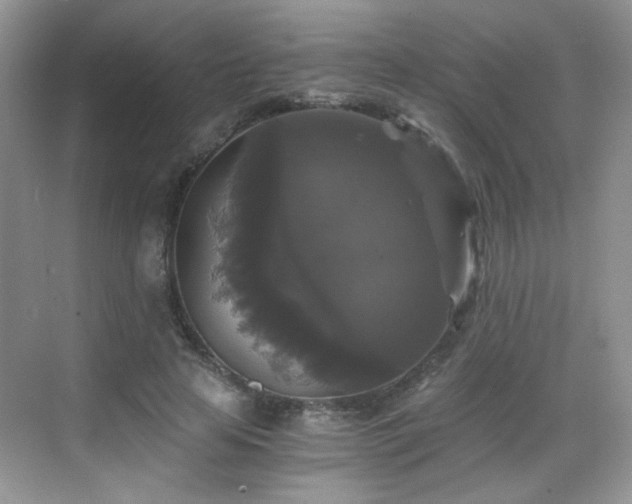 X0000068810641200605081120