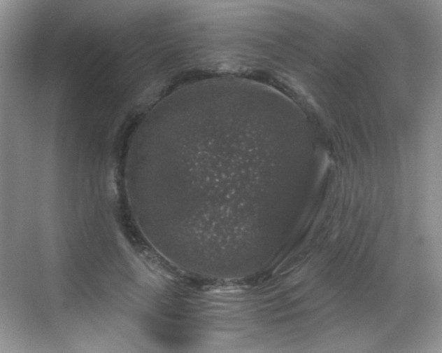 X0000068810643200605081120