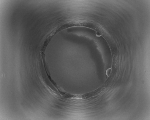 X0000068810644200605081120