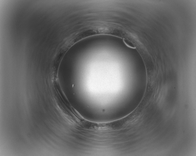 X0000068810645200605081120