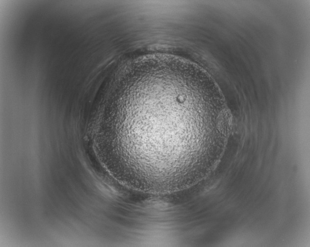 X0000068810648200605081120