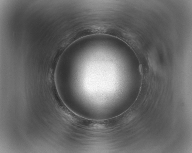 X0000068810649200605081120