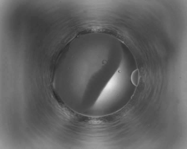 X0000068810650200605081120