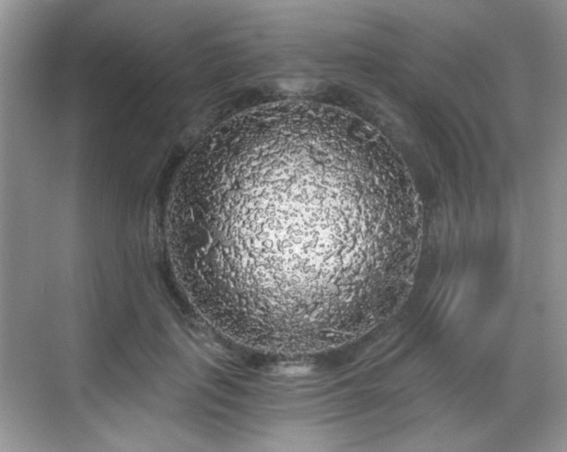 X0000068810651200605081120