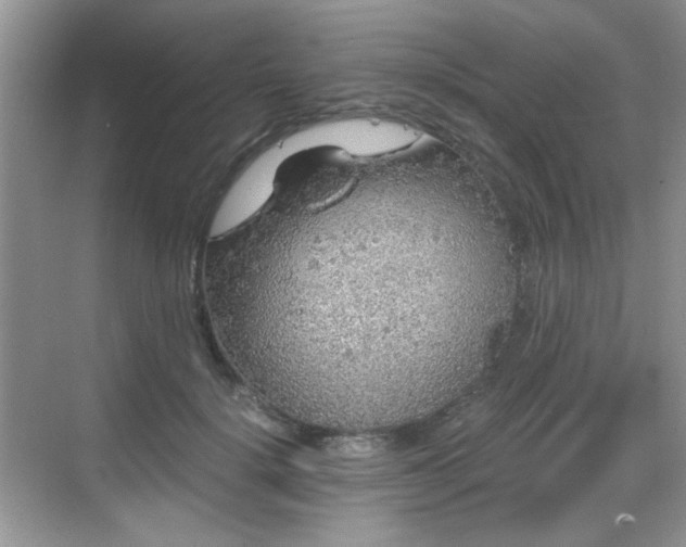 X0000068810652200605081121