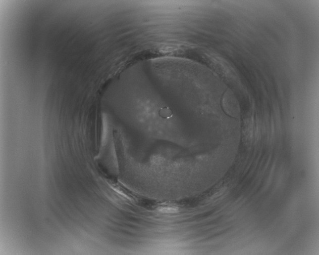 X0000068810653200605081121