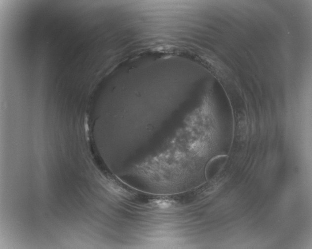 X0000068810654200605081121