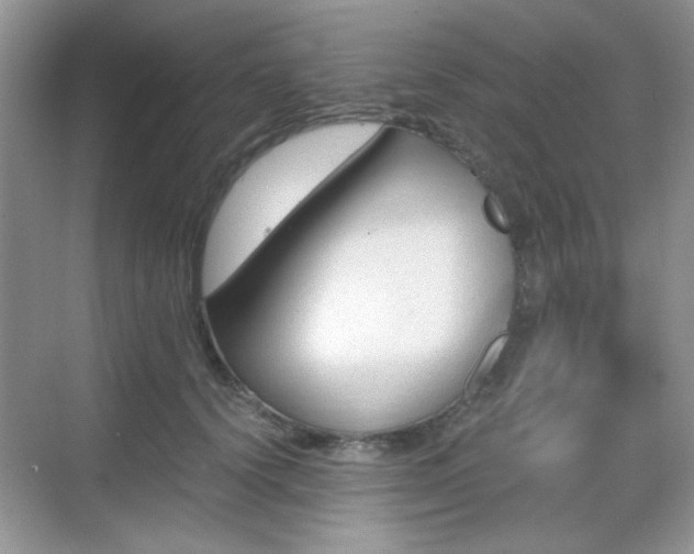 X0000068810656200605081121