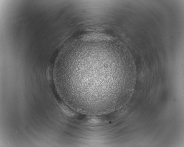 X0000068810658200605081121