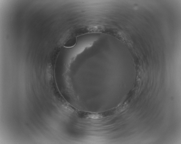 X0000068810659200605081121