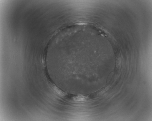 X0000068810661200605081121