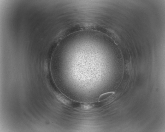 X0000068810662200605081121