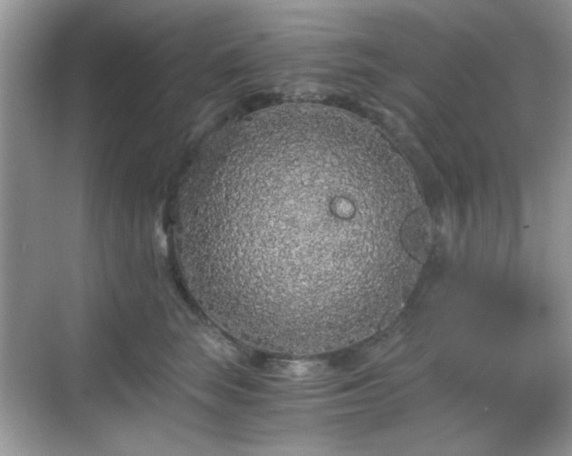 X0000068810663200605081121