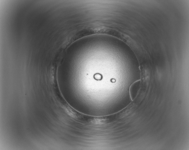 X0000068810664200605081121