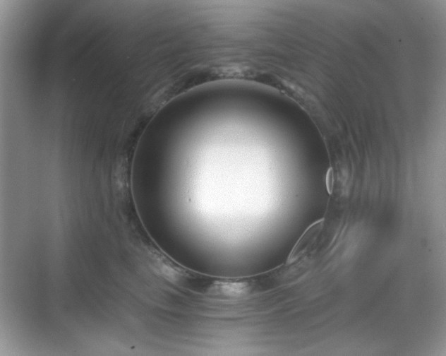 X0000068810665200605081121