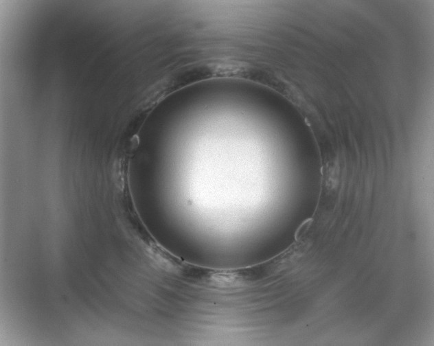 X0000068810666200605081121