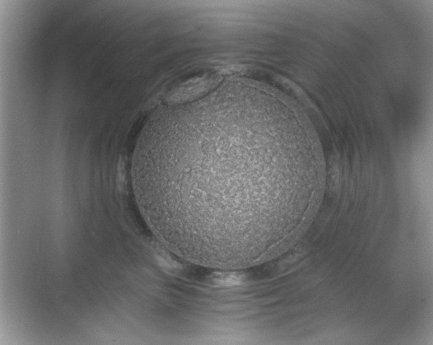 X0000068810667200605081121