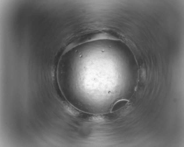 X0000068810668200605081121