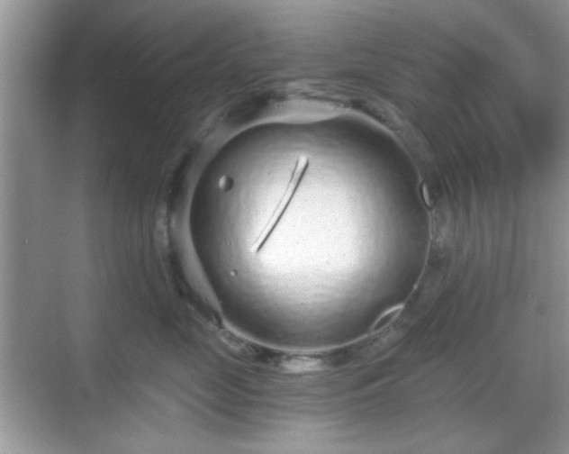 X0000068810669200605081121