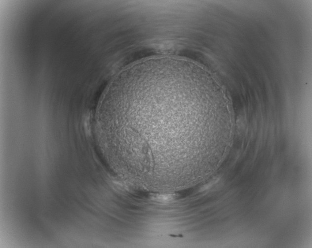 X0000068810671200605081121