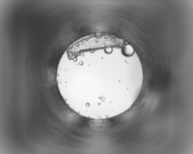 X0000068810672200605081121