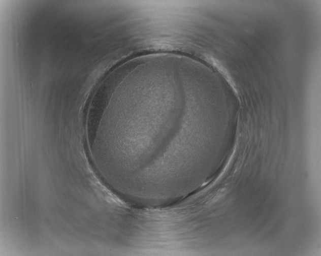 X0000068810673200605081120