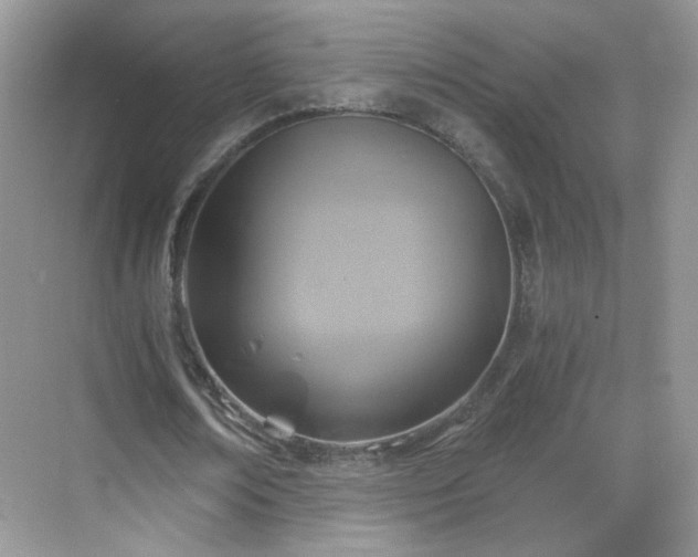 X0000068810674200605081120