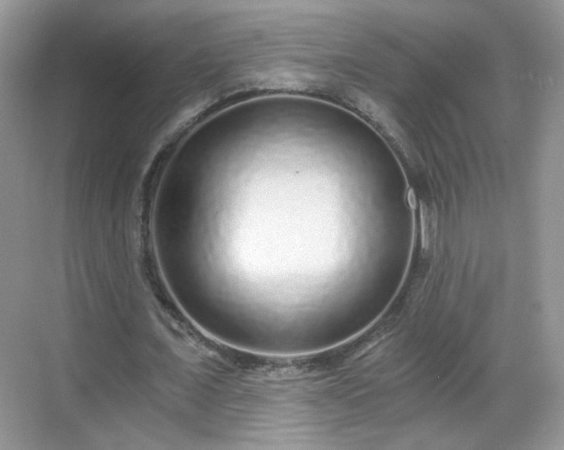 X0000068810675200605081120