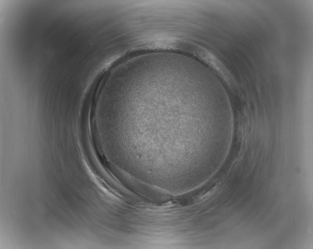 X0000068810677200605081120