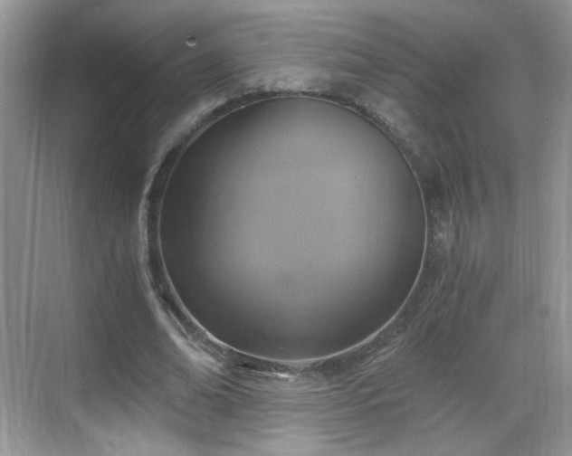 X0000068810678200605081120