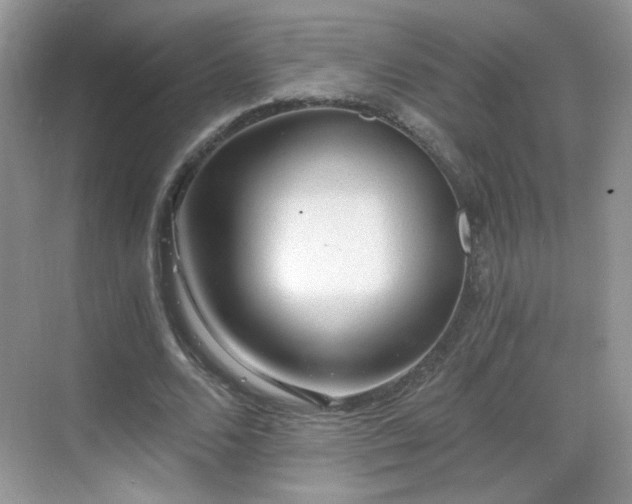 X0000068810680200605081120